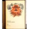 20 Racconti umoristici