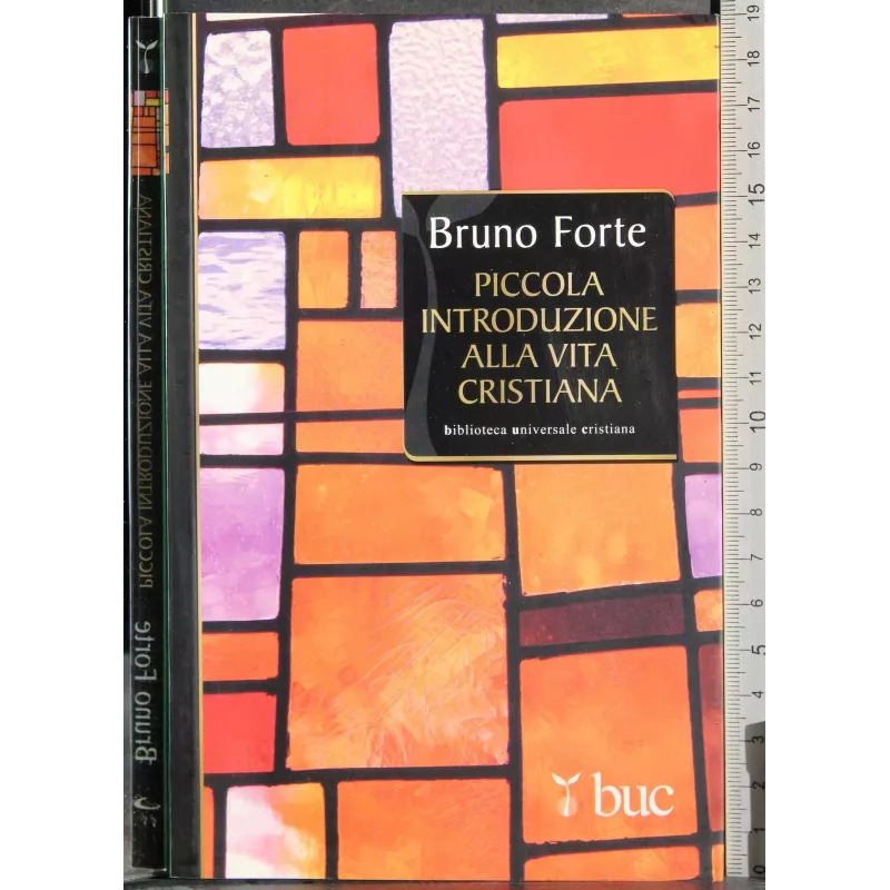 Piccola introduzione alla vita cristiana