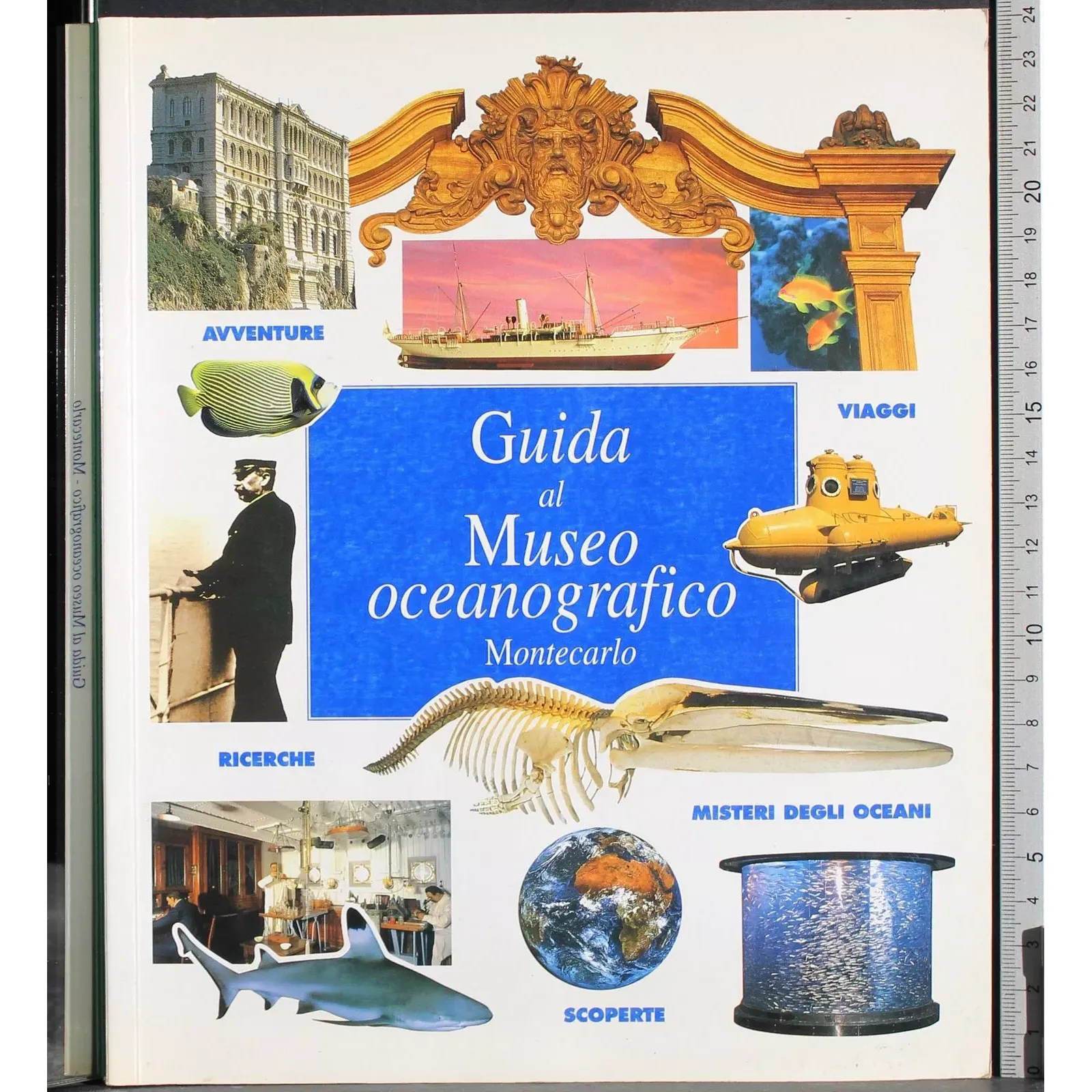 Guida al museo oceanografico Montacarlo