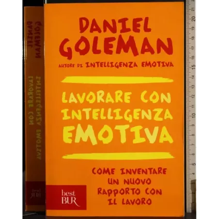 Lavorare con intelligenza emotiva