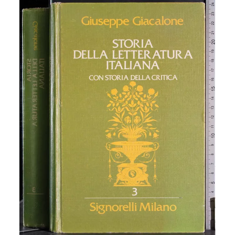 Storia letteratura Italiana Vol 3. Ottocento Novecento