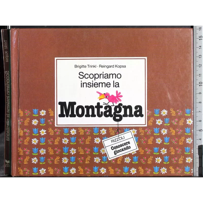 Scopriamo insieme la montagna