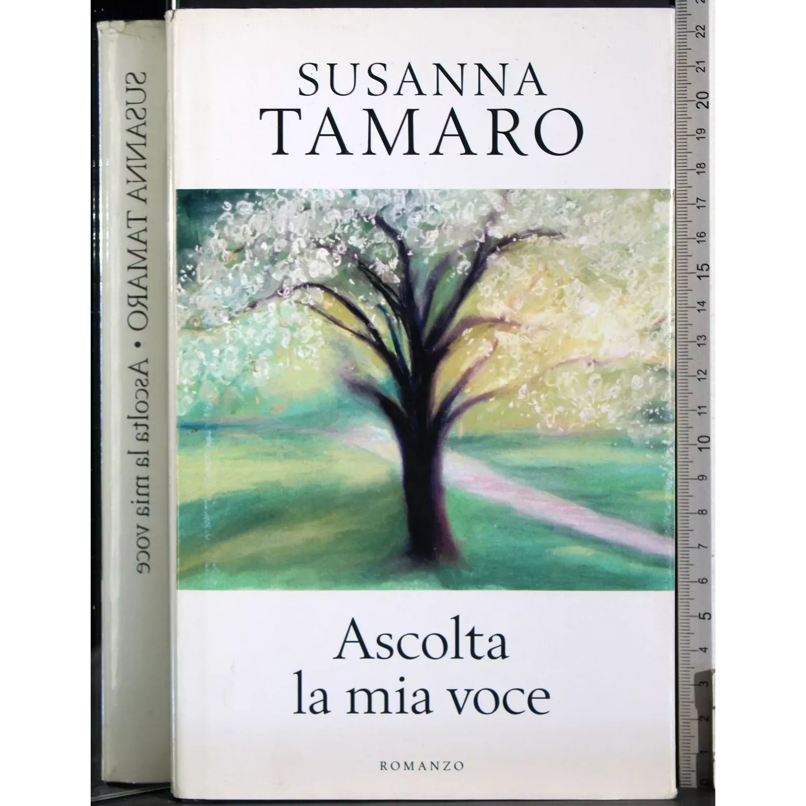 Ascolta la mia voce