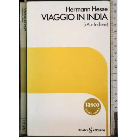 Viaggio in india