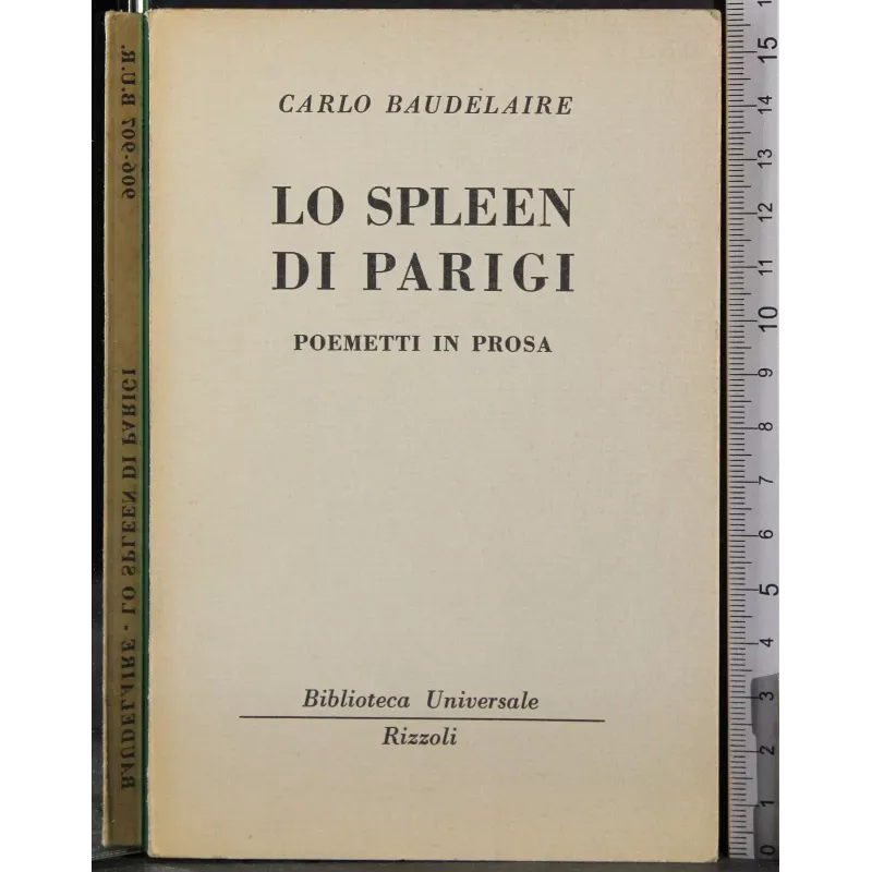 Lo spleen di Parigi