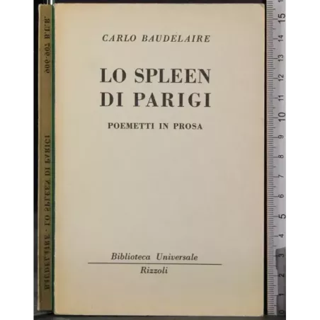 Lo spleen di Parigi
