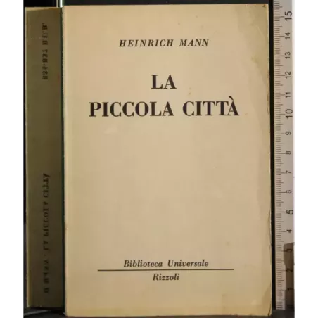 La piccola città