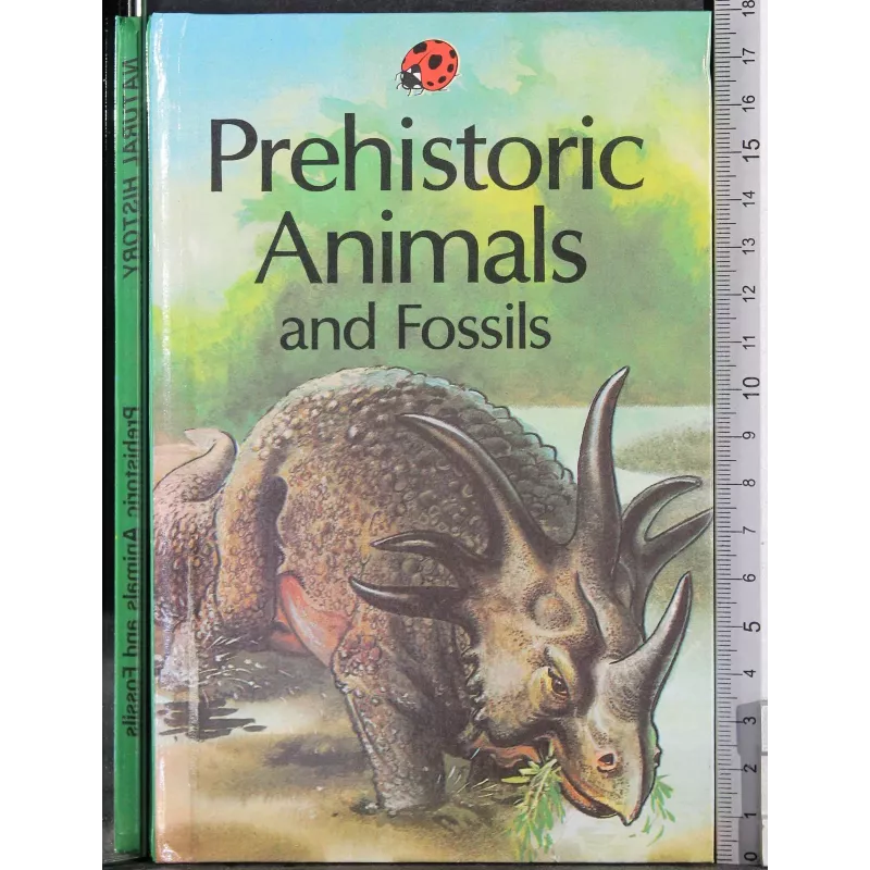 Prehistoric Animals and fossils