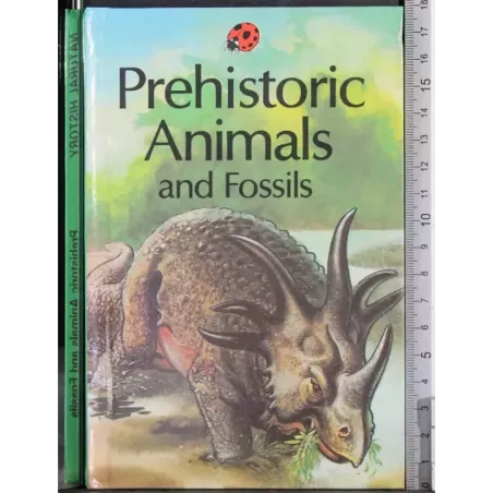 Prehistoric Animals and fossils