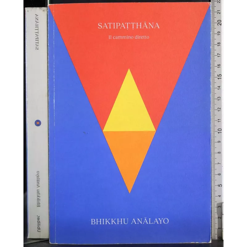 Satipatthana