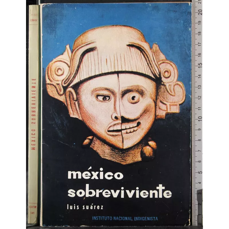 Mexico sobreviviente