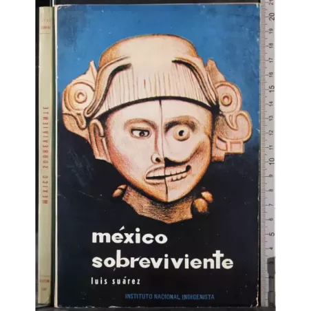 Mexico sobreviviente