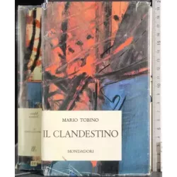 Il clandestino