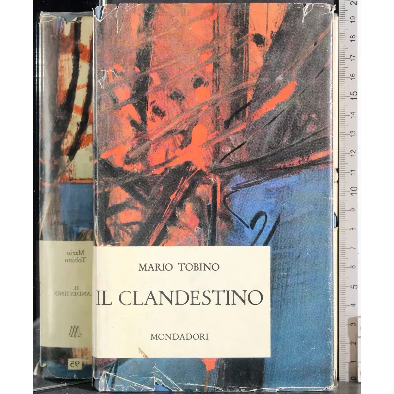 Il clandestino