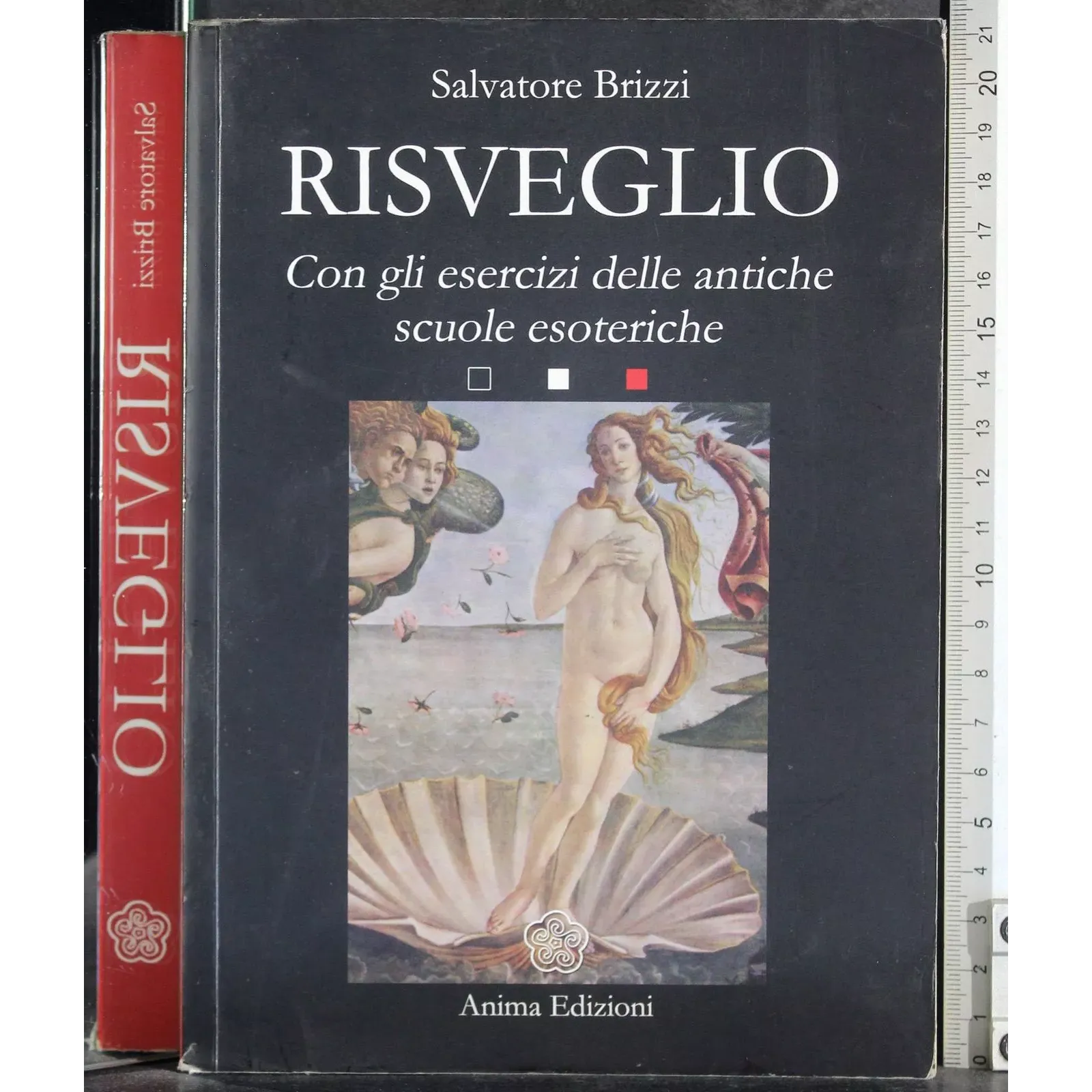 Risveglio
