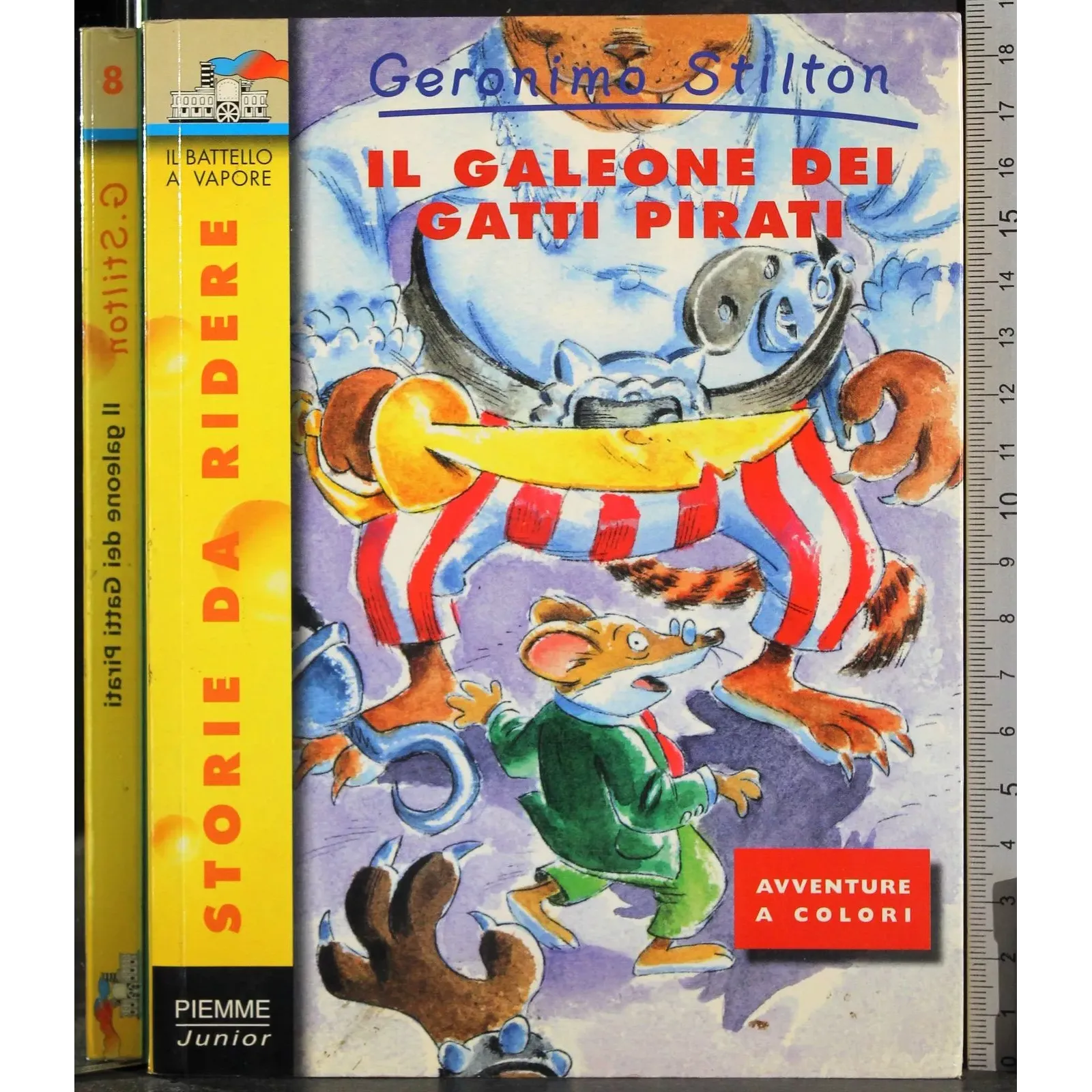 Il aleone dei gatti pirati