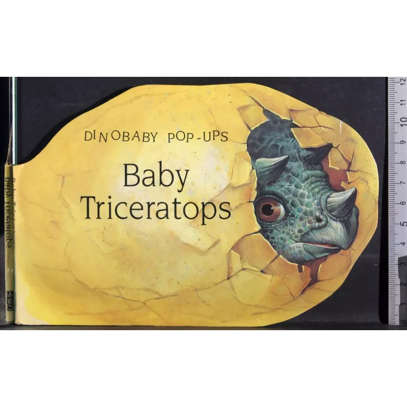 Dinobaby pop-ups. Baby Triceratops