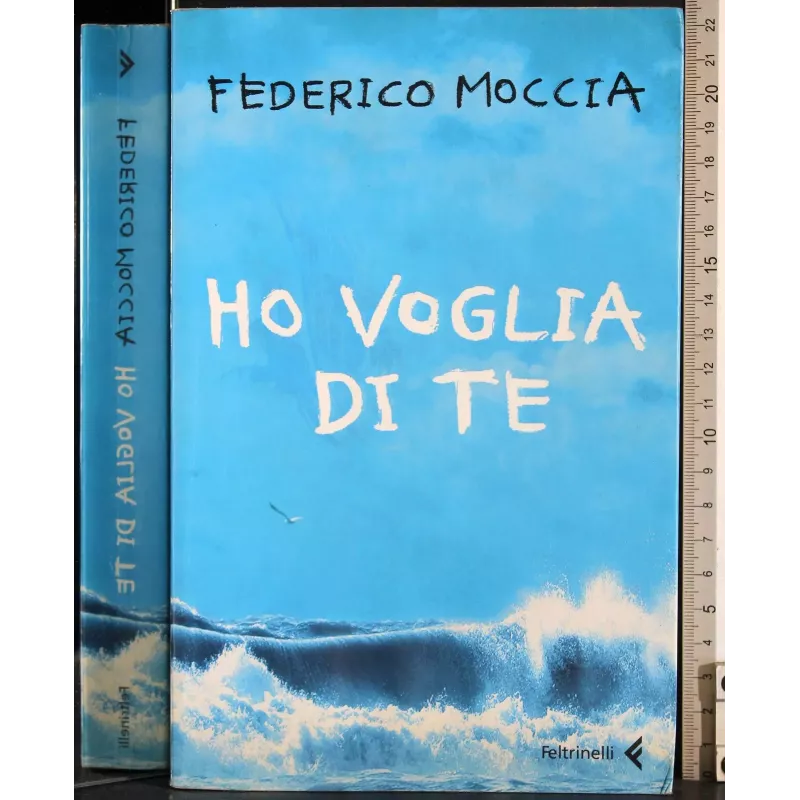 Ho voglia di te