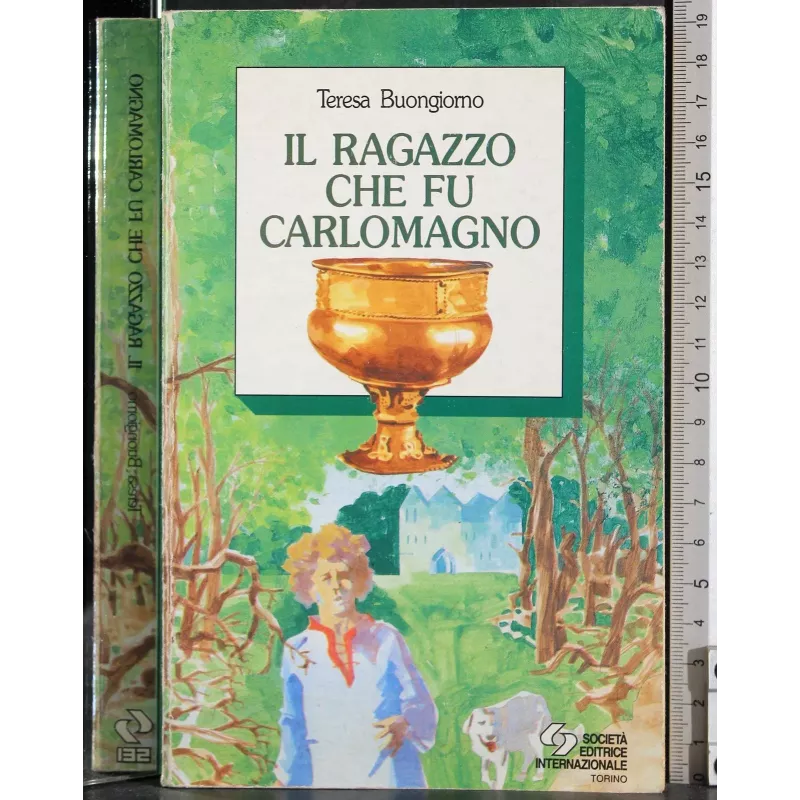 Il ragazzo che fu Carlomagno
