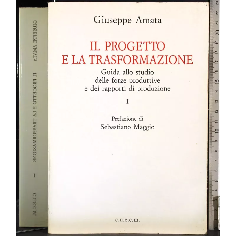Il progetto e la trasformazione. Vol I