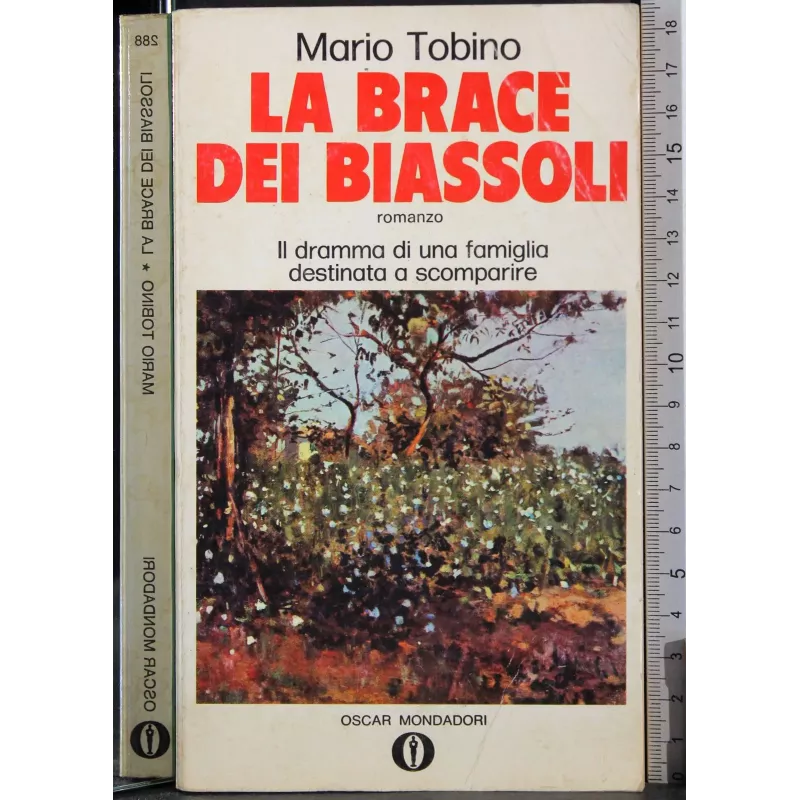 La brace dei Biassoli