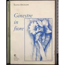 Ginestre in fiore