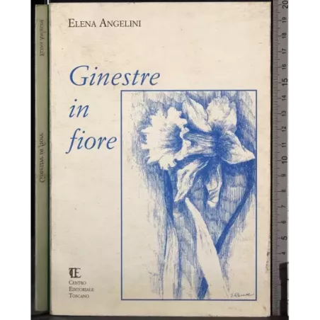 Ginestre in fiore