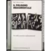 Il poligono mediorientale
