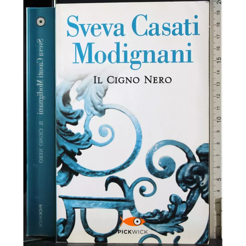 Il cigno nero
