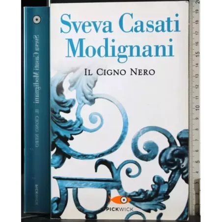Il cigno nero