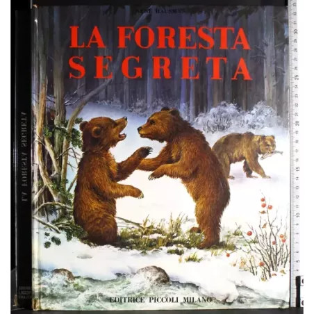 La foresta segreta