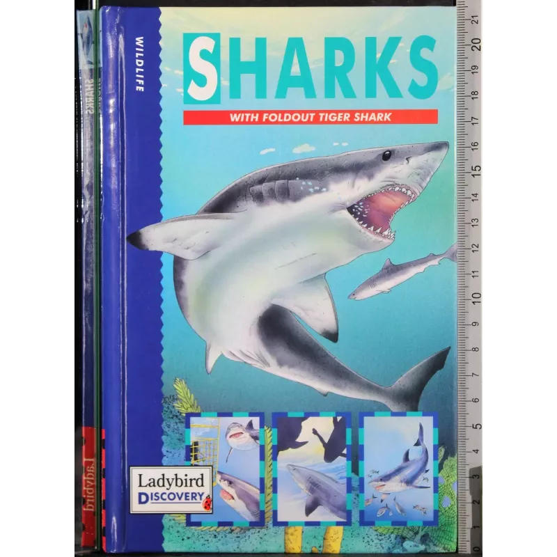 Sharks