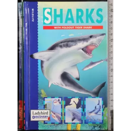 Sharks