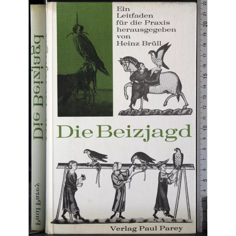 Die Beizjagd