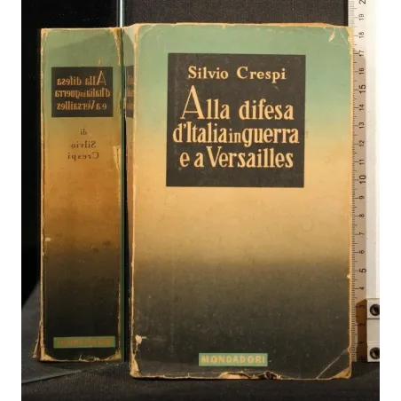 ALLA DIFESA D'ITALIA IN GUERRA E A VERSAILLES