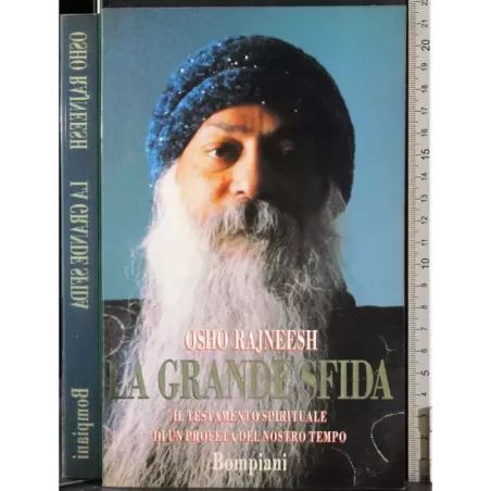 La grande sfida