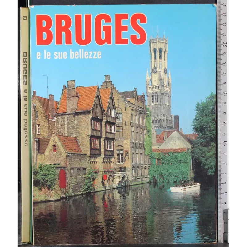 Bruges e le sue bellezze