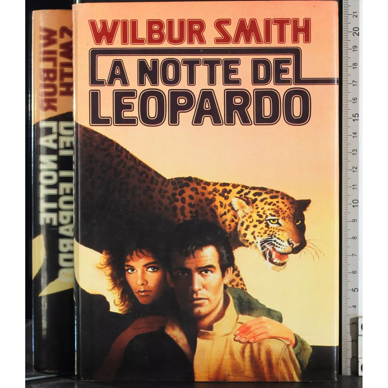 La notte del leopardo
