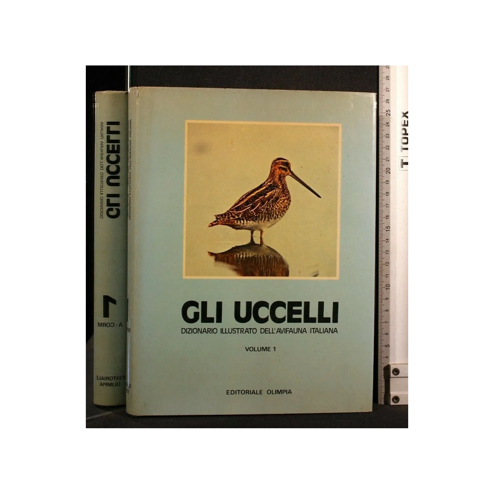 DIZIONARIO ILLUSTRATO DELL'AVIFAUNA ITALIANA GLI UCCELLI VOL 1