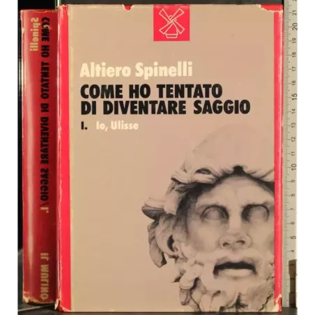 Come ho tentato di diventare saggio