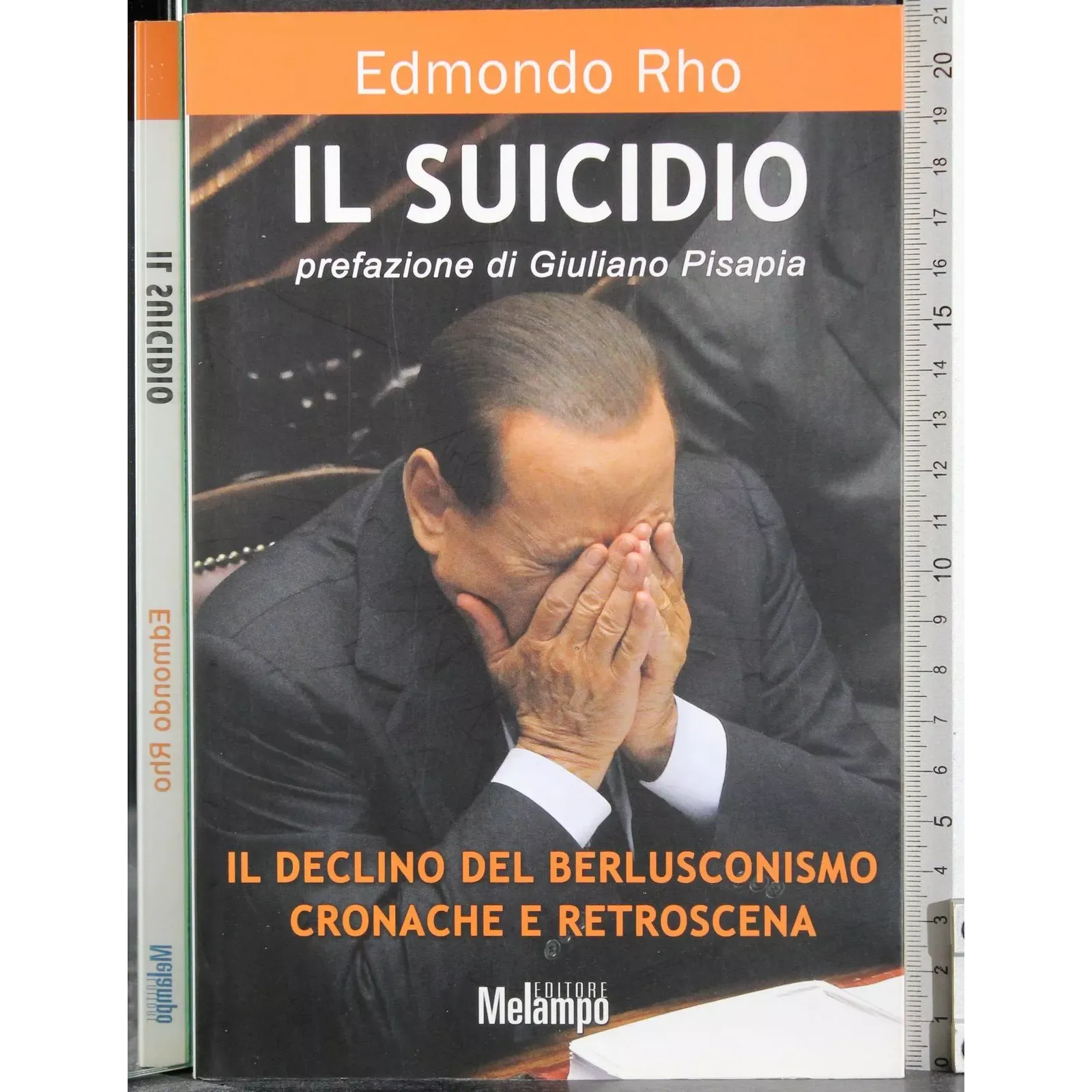 Il suicidio