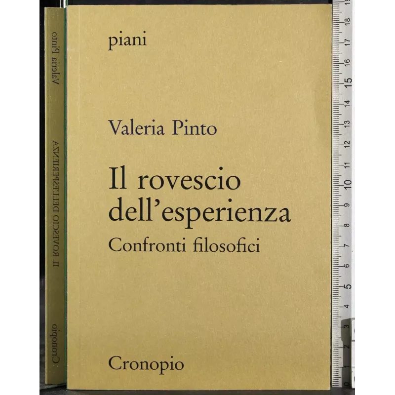 Il rovescio dell'esperienza