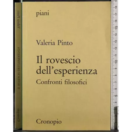 Il rovescio dell'esperienza