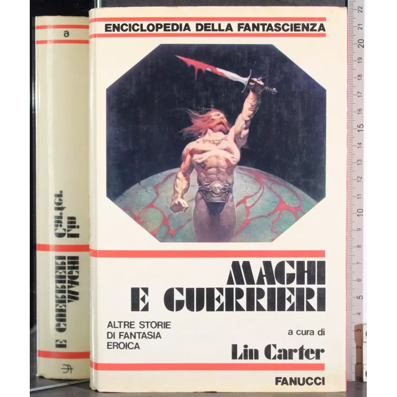 Maghi e guerrieri