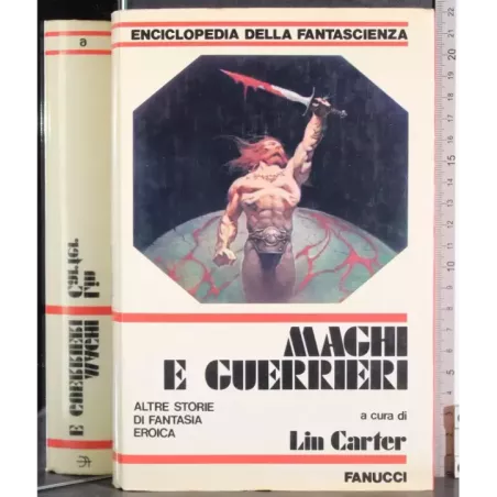 Maghi e guerrieri