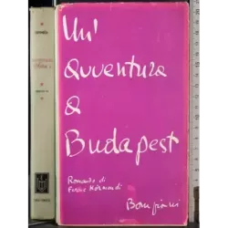 Un'avventura a Budapest