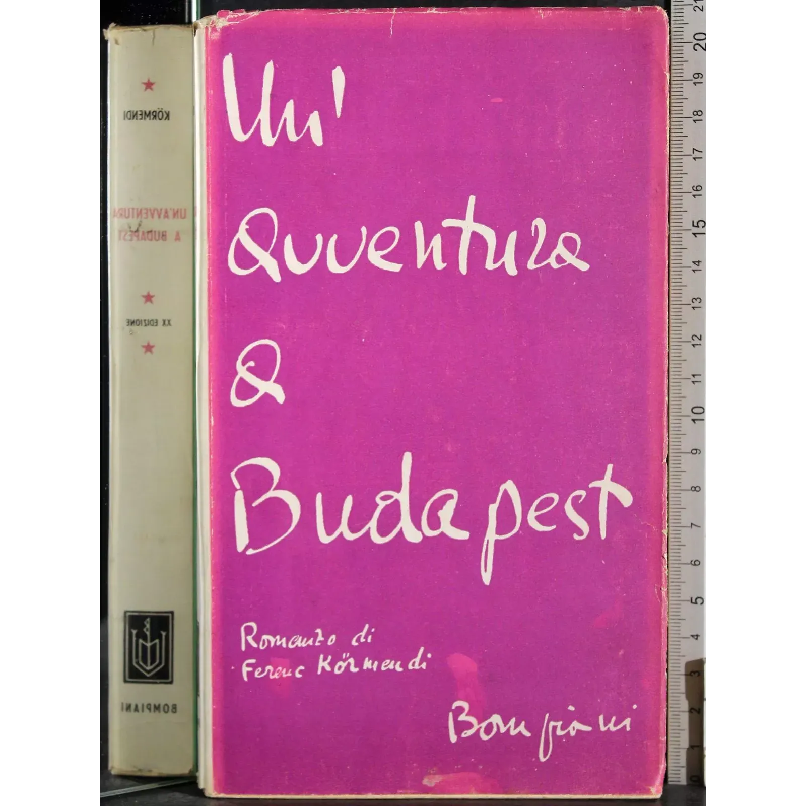 Un'avventura a Budapest