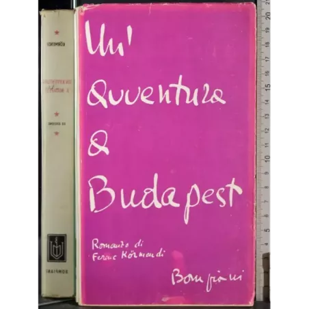 Un'avventura a Budapest