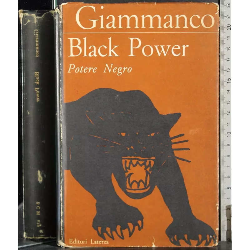 Black Power. Potere negro