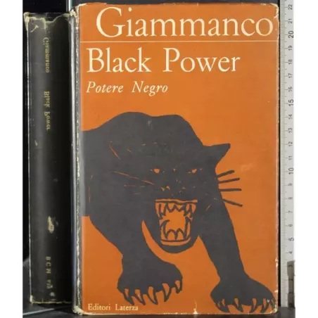 Black Power. Potere negro